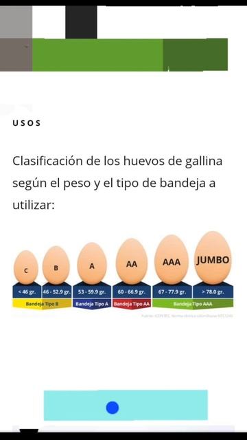clasificacion de huevos según su tamaño смотреть онлайн