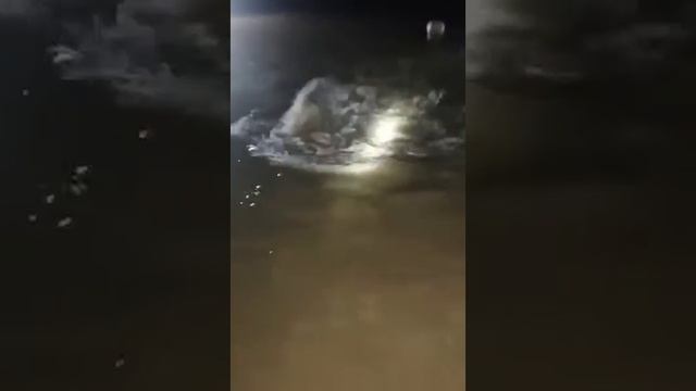 хитойда 60 тонналик кит смотреть онлайн