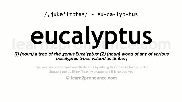 Pronunciation of Eucalyptus | Definition of Eucalyptus смотреть онлайн