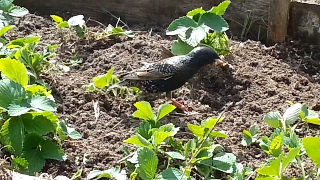 20140516 133214 смотреть онлайн
