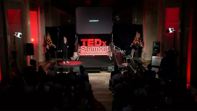Why data is the future of art | Julie Freeman | TEDxStormont смотреть онлайн