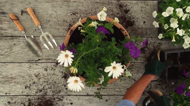 How to create a container garden смотреть онлайн