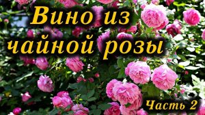 Вино из чайной розы (Часть 2) / Tea rose wine (Part 2)