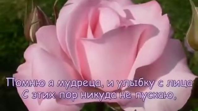 Посмотрите смотреть онлайн