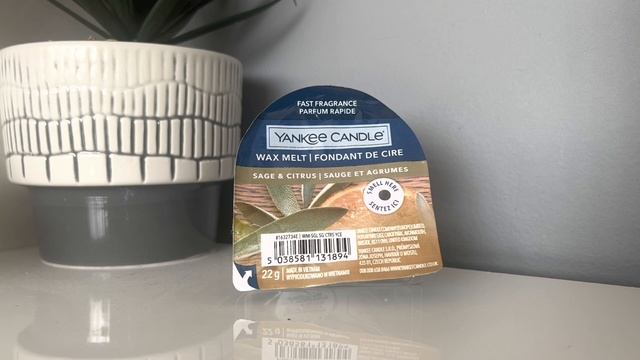 NEW Yankee Candle Review: Sage & Citrus смотреть онлайн