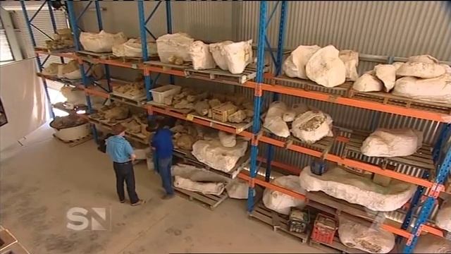 Australian Dinosaurs смотреть онлайн
