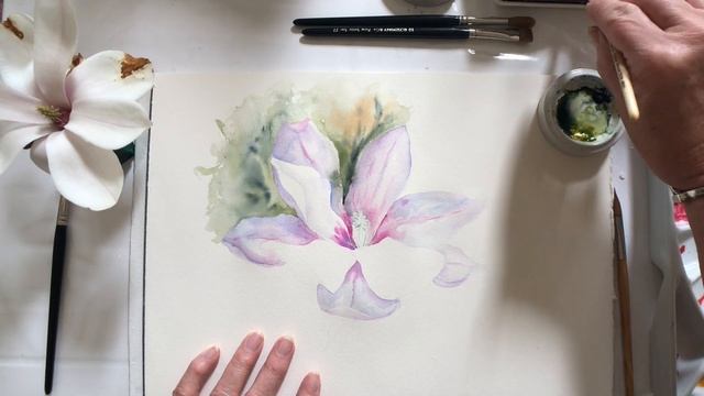Magnolia watercolour tuition painting with a loose background. Jan Blanch. смотреть онлайн