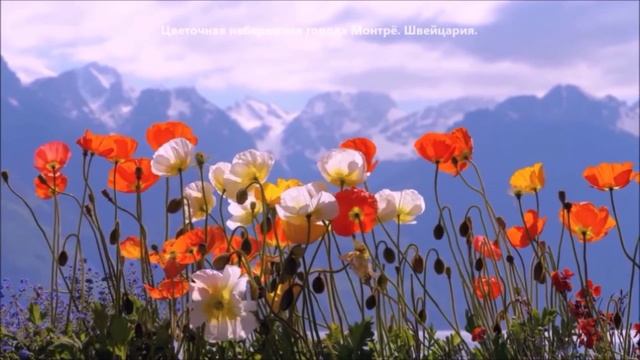 расслабляющая музыка и природа 😍/расслабляющая музыка и природа 😍 смотреть онлайн