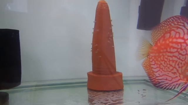 Интересный факт. смотреть онлайн