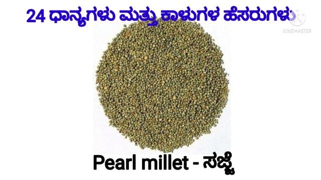 24 ಧಾನ್ಯಗಳು ಮತ್ತು ಕಾಳುಗಳ ಹೆಸರುಗಳು ಕನ್ನಡ ಮತ್ತು ಇಂಗ್ಲೀಷನಲ್ಲಿ/CEREAL, PULSES AND GRAINS.