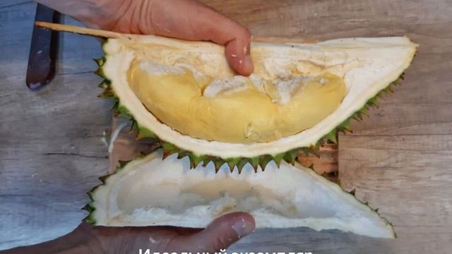 Дуриан - Как Есть !?