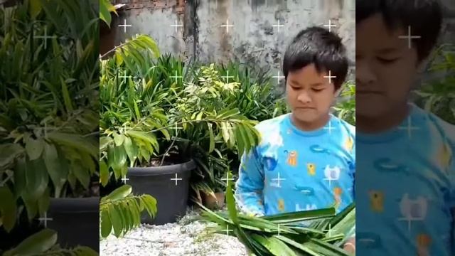 Video Lengkap Cara Membuat Pasta Pandan смотреть онлайн
