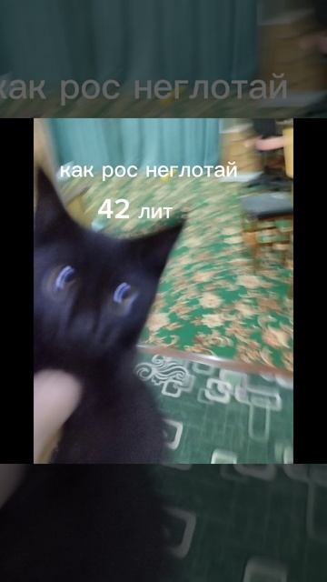 10 июля 2023 г. смотреть онлайн