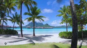 Самые красивые пляжи в мире | 4K