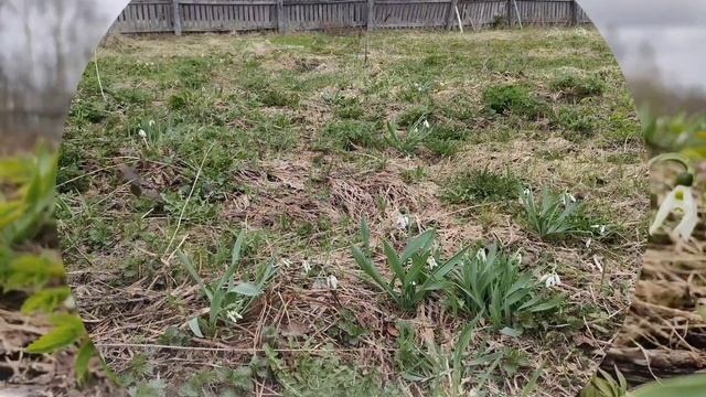 Апрель 2024 смотреть онлайн