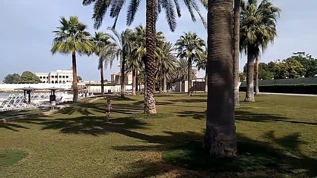 Тренировка в Radisson Blu смотреть онлайн