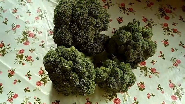 МОЙ УРОЖАЙ КАПУСТЫ БРОККОЛИ. смотреть онлайн