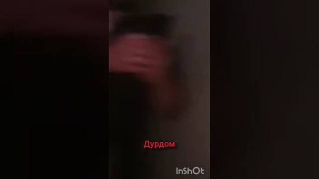 Самый шумный дурдом!!! смотреть онлайн