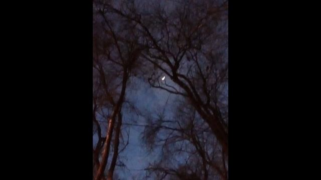 Severe Frost -Холодное безмолвие