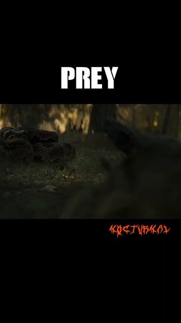 Rattlesnake - Prey #movie #clips смотреть онлайн