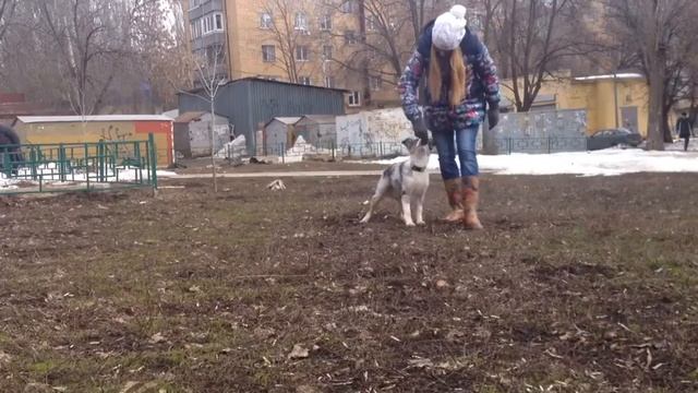 Ви прогулка 29.03.16 смотреть онлайн
