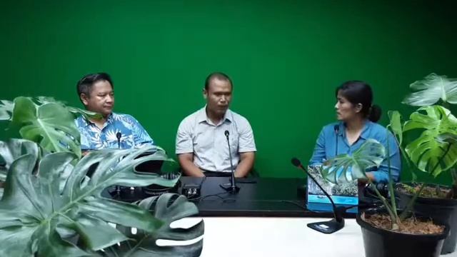 สภากาแฟ Monstera การปลูก ดูแลและโอกาสทางการตลาด смотреть онлайн