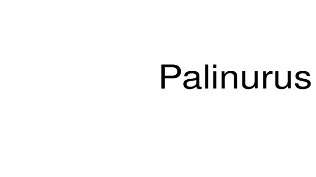 How to pronounce Palinurus смотреть онлайн