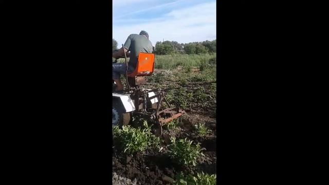 Культивирование картофеля смотреть онлайн