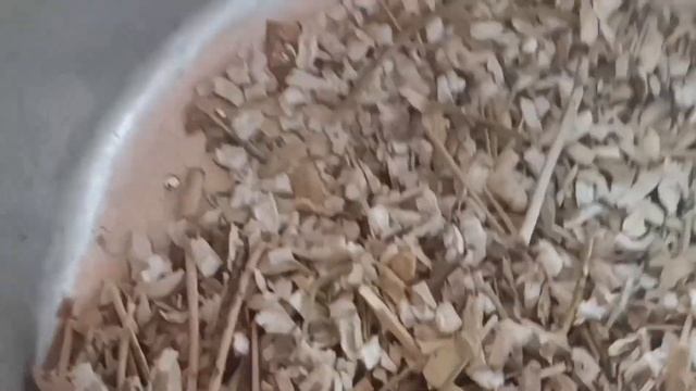 Быстрый способ обработки семян редиса.