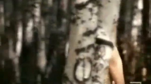 Нани Брегвадзе Дорогой длинною