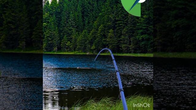 краснопёрка рыбалка Game смотреть онлайн