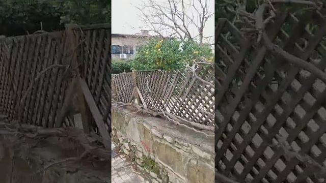 Зимний Сиде Winter Side Turkey February смотреть онлайн