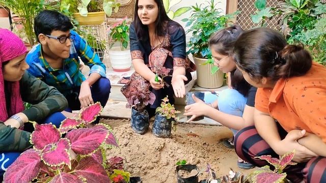 Coleus plant /How to grow Coleus plant / कोलियस 🌱 @AbhilashaRanwaPlantBaby смотреть онлайн