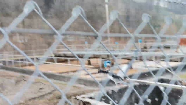 Цапля в Швейцарии, Reiher in der Schweiz/ 2022-03-11 смотреть онлайн