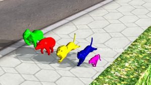 Green color Gorilla animals finger family song for kids | Lion,3d rhymes,Tiger,cheetha,NASH TOON Tv