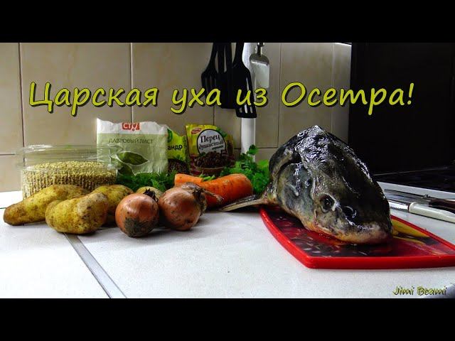 Царская уха из Осетра! 4K.