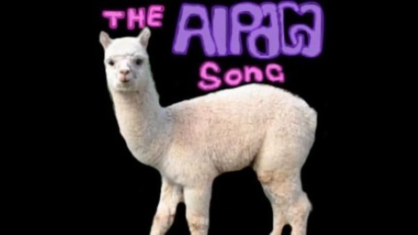 The Alpaca Song