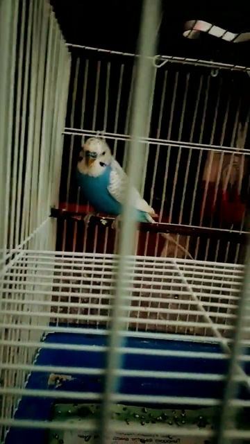 дети кушали смотреть онлайн