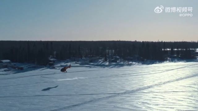 Top 5 Best camera phones in 2023 смотреть онлайн