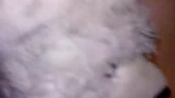 Мишка валера уходит