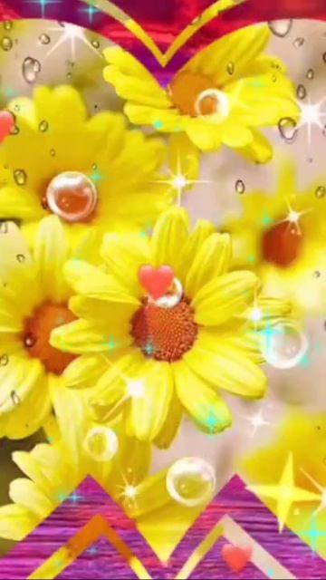 Доброе утро 🌞 смотреть онлайн