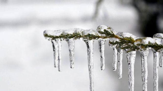 Severe Frost -Морозный узор