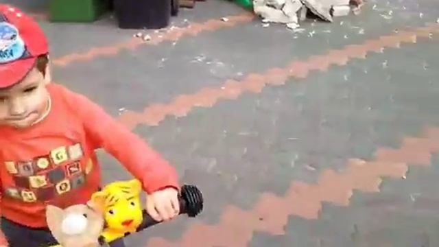 Беговел Puky LR 1L