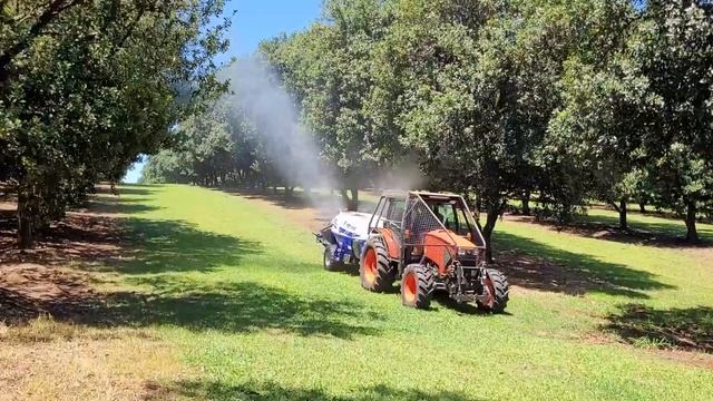 TEYME GTE10A HIGH TREE SPRAYER IN 14M MACADAMIA TREES смотреть онлайн