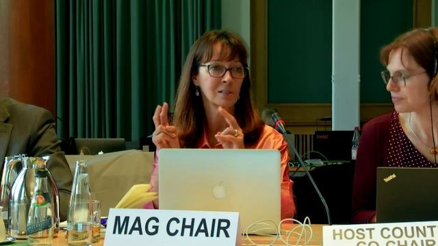 IGF 2019 MAG Meeting (Part II) смотреть онлайн