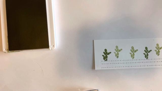 Flowering Cactus class смотреть онлайн