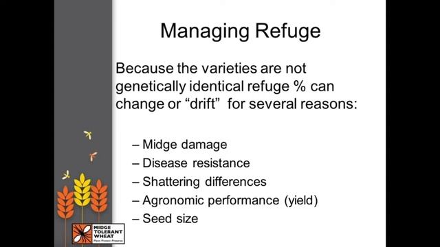 Safeguarding the Future of Midge Tolerant Wheat - A Germination Retail Roundtable Webinar смотреть онлайн