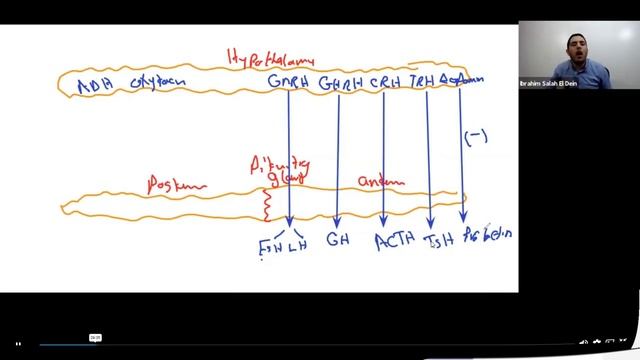 Mastering the USMLE: Dr Ibrahim Salah Eldin's Approach смотреть онлайн