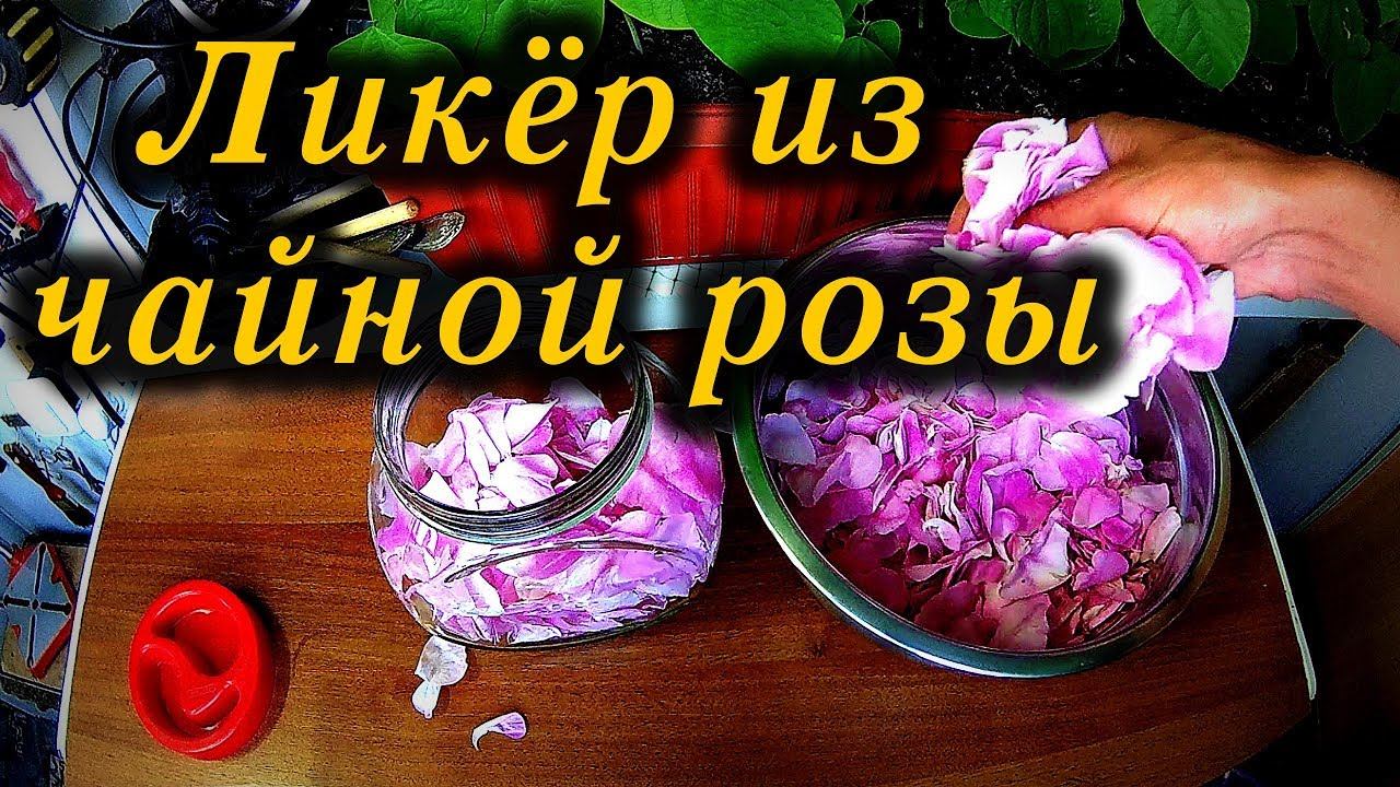 Ликёр с Чайной розы / Liqueur with a Tea rose смотреть онлайн