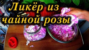 Ликёр с Чайной розы / Liqueur with a Tea rose
